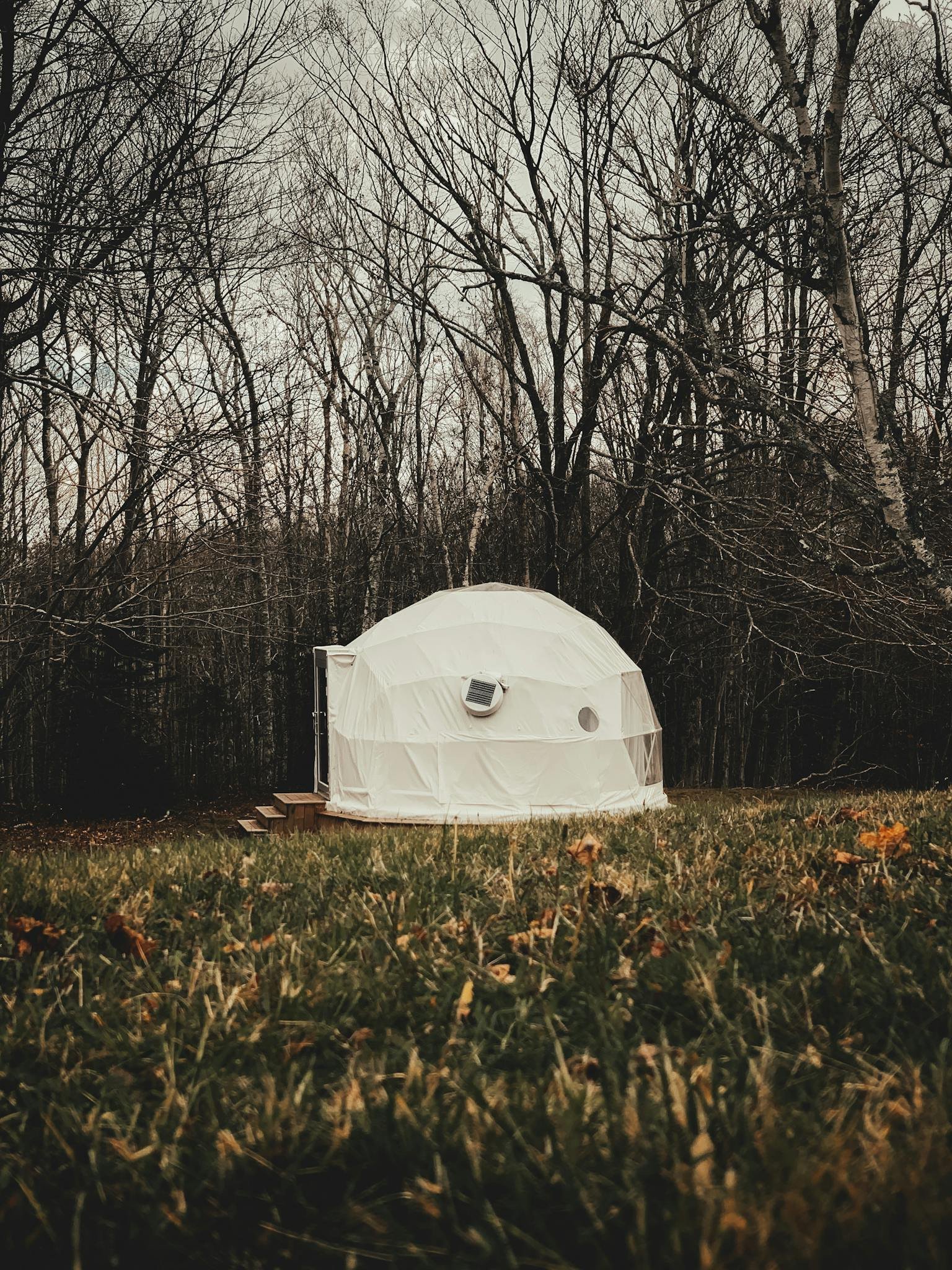 A dome tent located in a tranquil autumn forest glade, ideal for glamping enthusiasts.