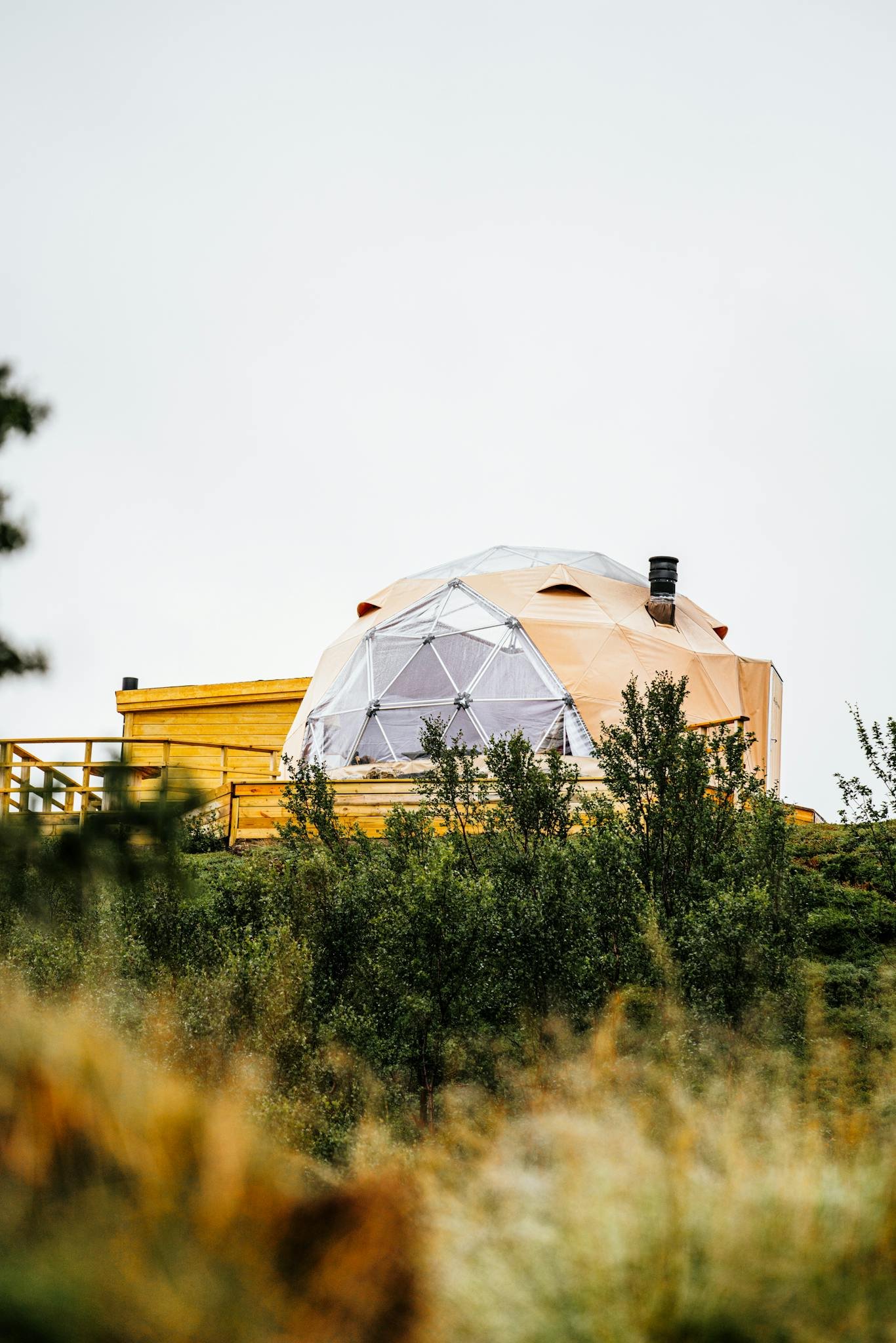 Geodesic dome surrounded by greenery, perfect for outdoor glamping adventures.
