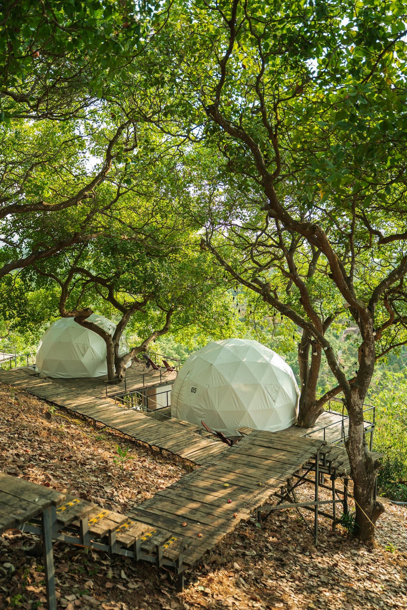 Geodesic domes nestled in a lush forest glamping site, offering a serene retreat.