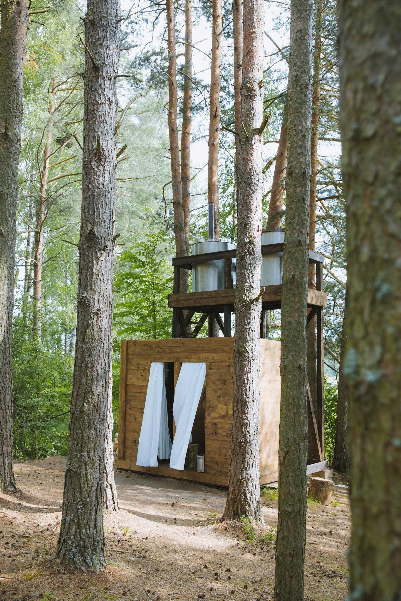 Rustic wooden cabin nestled amidst tall trees, ideal for glamping in a serene forest.